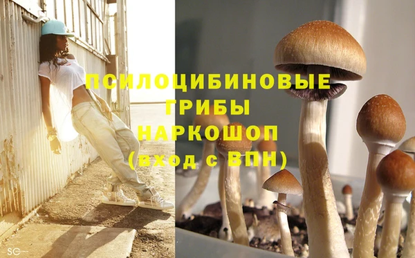 марки nbome Алексин
