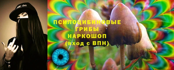 соль курить ск Алексеевка