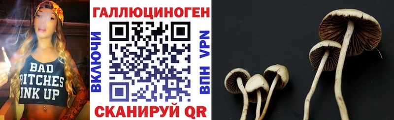 площадка клад  Королёв  Псилоцибиновые грибы мухоморы 